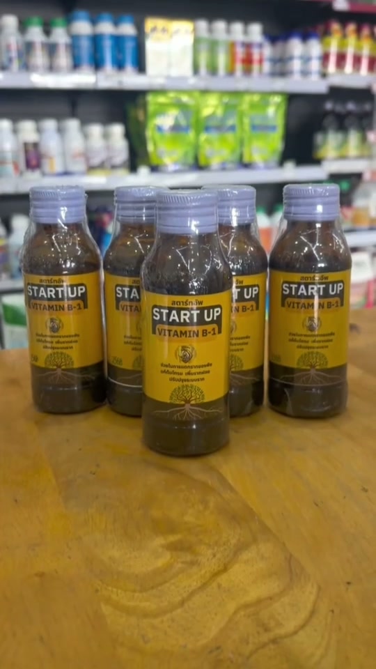 ตัวช่วยเร่งราก ตราม้าทอง